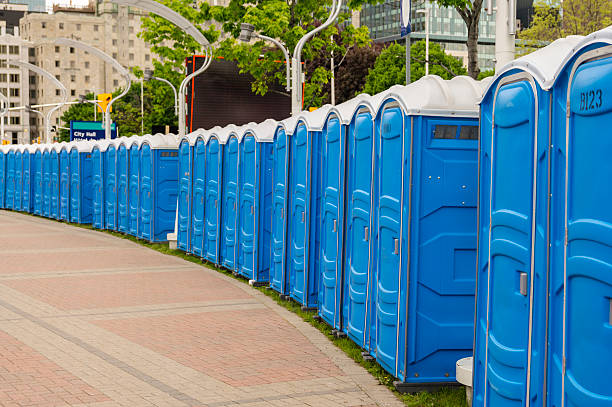 Best Portable Toilets with Baby Changing Stations  in Conneaut, OH